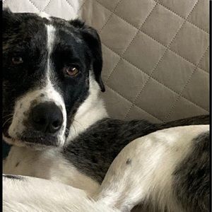 Meet your Posher, Alexandria